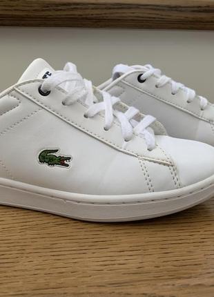 Кеди lacoste, оригінал.