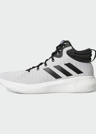 pro elevate adidas