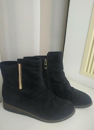 Ботинки, напівчоботи t. taccardi