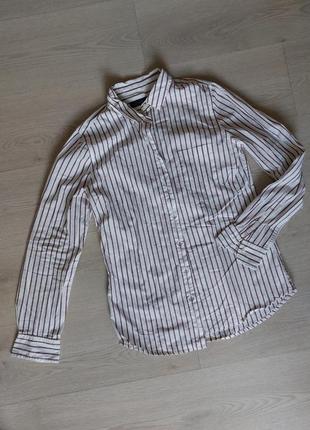 Блузка, рубашка в полоску бело-бордовый размер s (8)