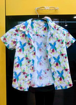 Рубашка на мальчика