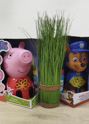 Мыльные пузыри