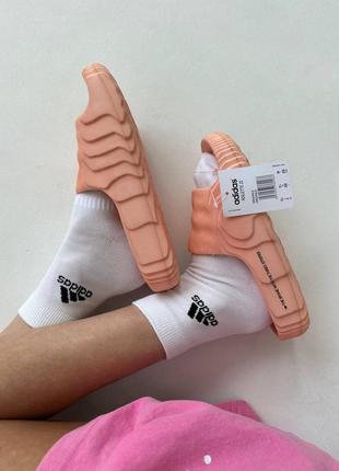 Тапочки adidas4 фото