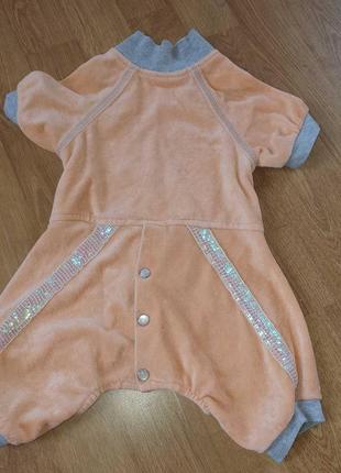 Костюм для кота або собаки