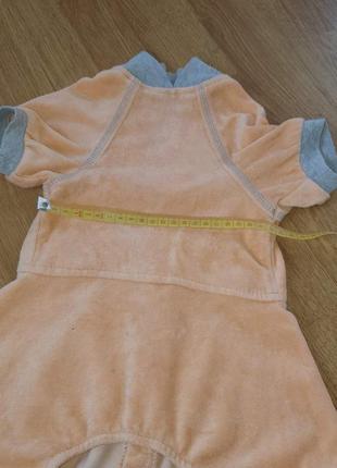 Костюм для кота або собаки3 фото