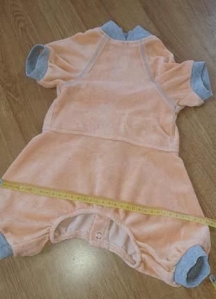 Костюм для кота або собаки4 фото