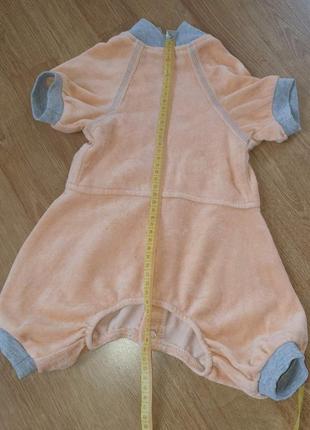 Костюм для кота або собаки2 фото