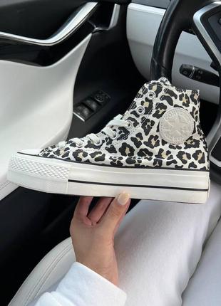 Кеди converse leopard6 фото