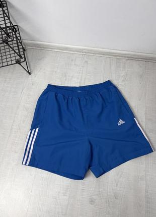 Шорти adidas training shorts