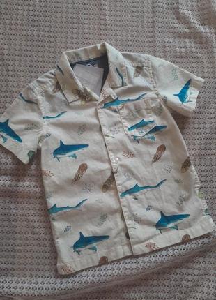 Прикольная летняя рубашка в рыбках john lewis3 фото