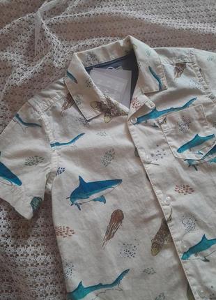 Прикольная летняя рубашка в рыбках john lewis5 фото