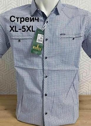 Стильная приталенная мужская рубашка в мелкую клетку