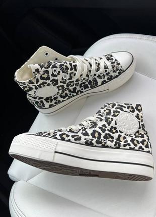 Женские текстильные высокие кеды converse leopard.