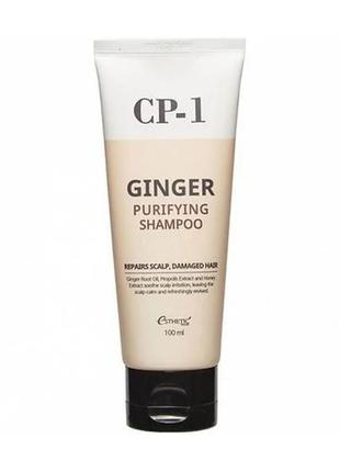 Шампунь для волосся з імбиром esthetic house cp-1 ginger purifying shampoo1 фото