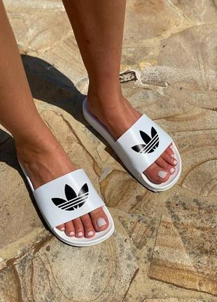 Жіночі шльопанці adidas white black logo / smb2 фото