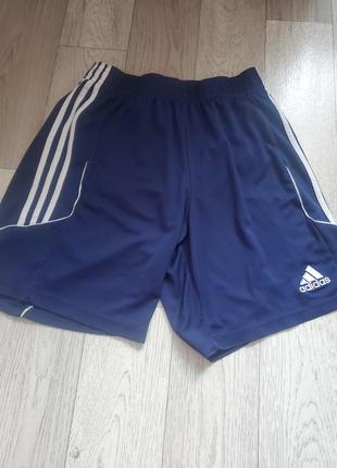 Шорти adidas climalite