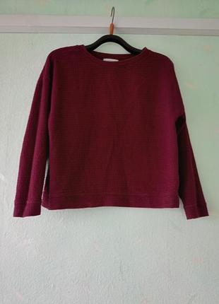 Свитшот свитер свитсер свитер свитшот пуловер блуза zara5 фото