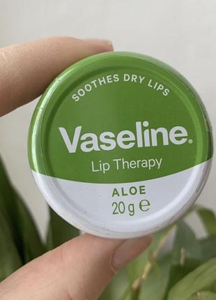 Бальзам для губ vaseline с алое aloe 20 грамм1 фото