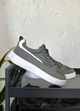 Lacoste joggeur silver