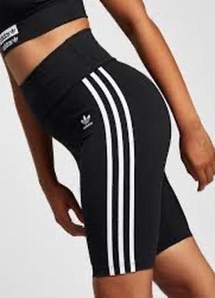 Велосипедки adidas