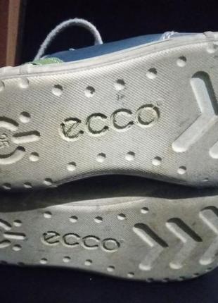 Ecco7 фото