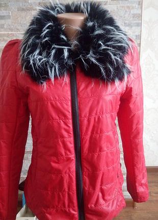 Куртка осень-весна!