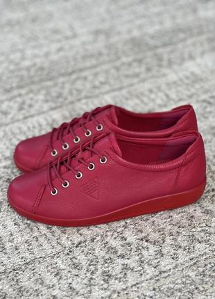 Кроссовки ecco soft 2.0 206503015954 фото