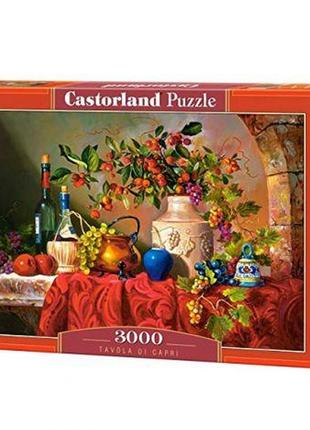 Пазлы castorland 3000