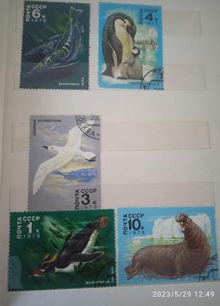 Альбом с марками