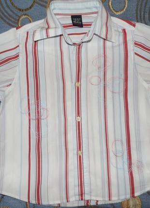 Тенниска next 4 года