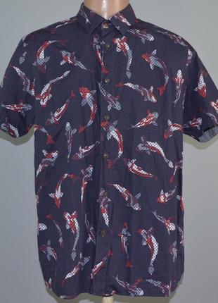 Фірмова сорочка ted baker leys koi fish (xl)