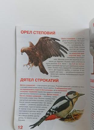 Большая книга животный мир украины ( укр)3 фото