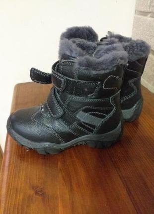 Чобітки шкіряні.зима. 5