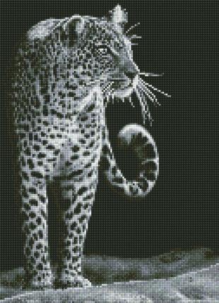 Алмазная мозаика "ночной охотник" идейка amo7538 40х50 см1 фото
