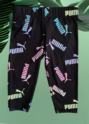 Костюм puma 4 роки3 фото