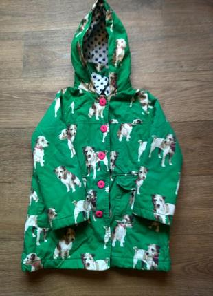 Вітровочка песики