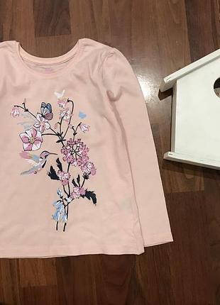 Реглан лонгслив 5-6 лет