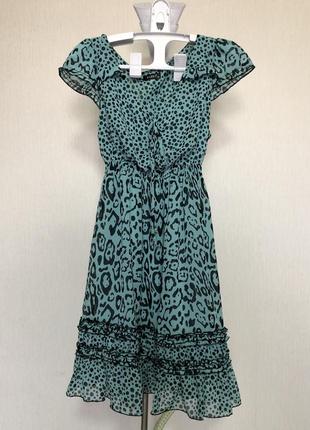Короткое шифоновое платье мини платья леопард бебидолл babydoll4 фото