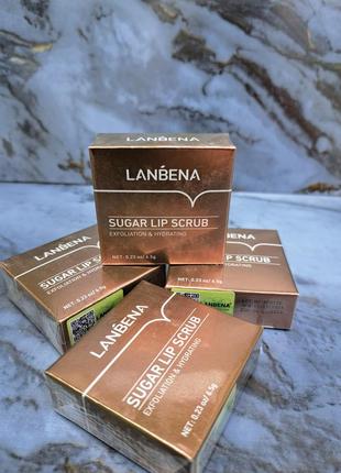 Сахарный скраб бальзам для губ