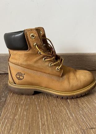 Timberland original