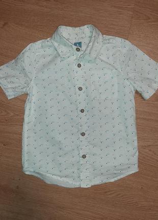 Стильна сорочка babygap