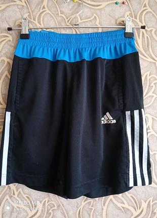 (686) спортивные шорты adidas для мальчика 9/10 лет