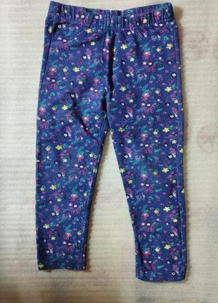 Штаны детские,женские лосины