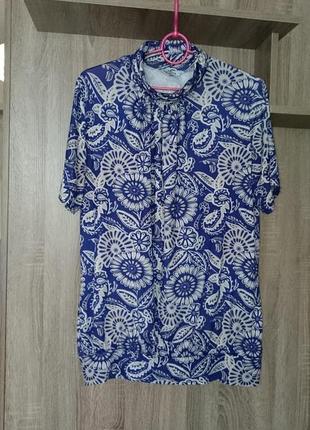 Блузка блуза кофта гольф с коротким рукавом monika женская 524 фото