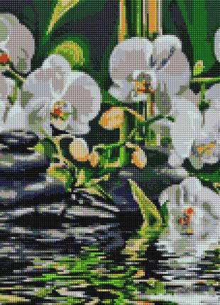 Алмазна мозаїка на дерев'яному підрамнику 40х50 "спокій біля орхідей" dbs10022 фото