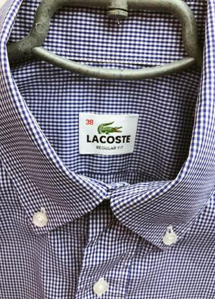 Lacoste,человечья рубашка в мелкую клетку,рубашка lacoste, рубашка1 фото