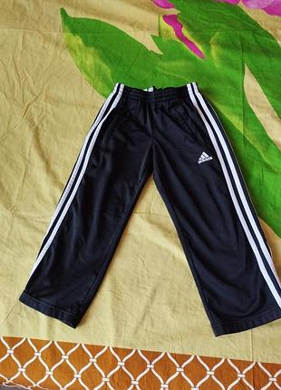 Спортивні штани adidas