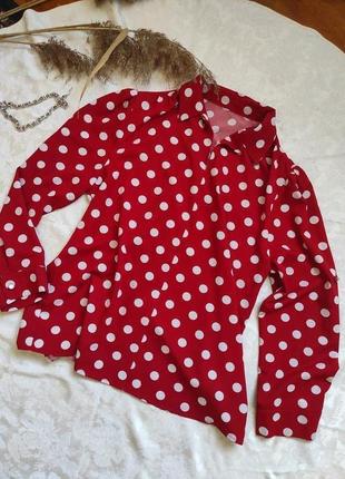Червона блуза з принтом горохи