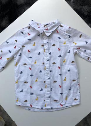 H&m рубашка сорочка динозаври