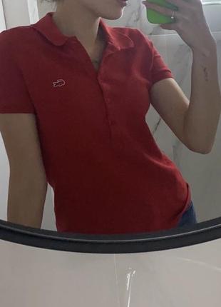 Лот штlacoste, h&m, pepe jeans безкоштовна доставка